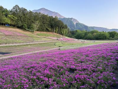 秩父旅行記　2024GW日帰り旅