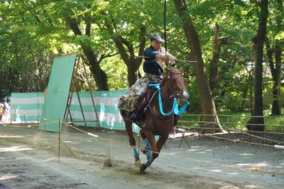 甲賀三大仏・日野祭、下鴨神社流鏑馬から金沢経由城端祭まで（二日目）～流鏑馬は疾走する馬と射手の人馬一体。大勢の観衆が固唾を飲んで見守ります～
