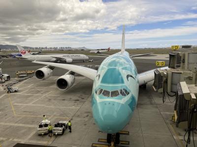 フライングホヌで行く10年ぶりのハワイ4泊6日の旅 (1)