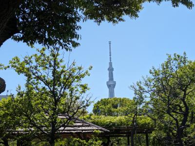 東京散歩：隅田川テラス～向島