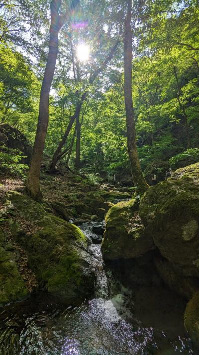 御岳山ハイキング
