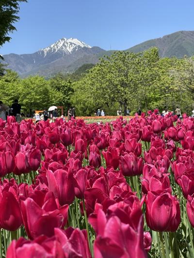 花満開の安曇野をサイクリング