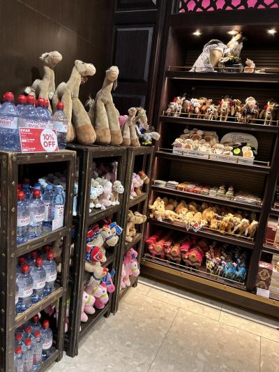 母娘念願のオランダ旅行☆彡②成田~ドバイ空港編