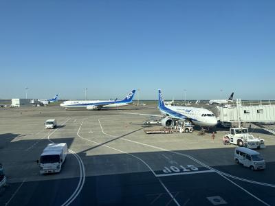 2024.05【ANAトクたびマイル利用・千葉】孫に会う！ついでに豊洲