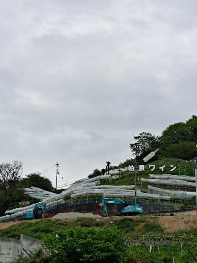 ふらっと大阪柏原ワインフェスに行ってきました