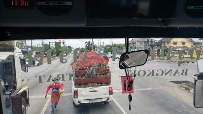 ドリアンを求めてーほぼ4年ぶりのタイ旅行（トラート～バンコク～上海～帰国）