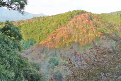 滋賀・奈良・京都の旅(8)【吉野】　