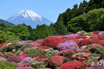 新緑薫る季節にぷらっと箱根＆三島へ《１》～ツツジに彩られた「山のホテル」ステイ～