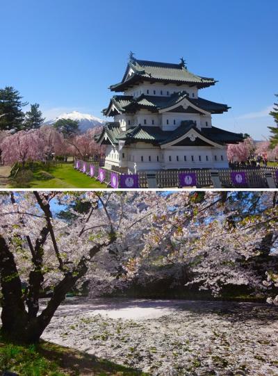 弘前公園の桜と花筏を見たのは１時間少々で物足りないけれど、それなりの桜を見たからいいことにしよう。