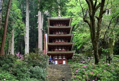 辰年で人気の龍穴神社&奥宮の参拝と室生寺のシャクナゲ