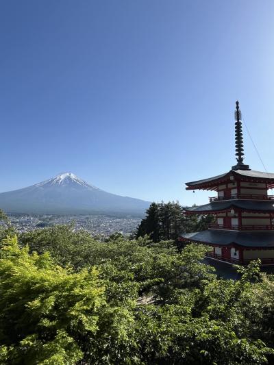 HISバスツアー 春の山梨二大名所へ！富士山の眺望日本一「新倉富士浅間神社」編