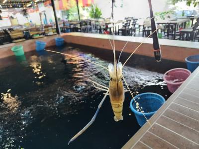 2024GW 2度目のエビ釣りは厳しかった&帰国