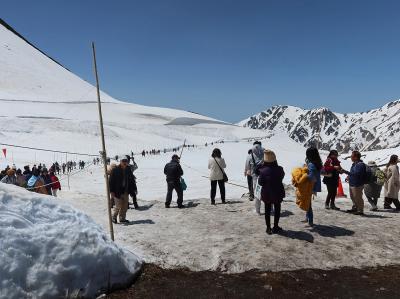 立山黒部アルペンルート２泊３日＊＊＊＜２日目＞雪の大谷でゴールデンウイーク