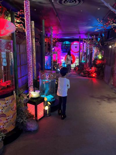 年末のホテル日航奈良で生き物ミュージアム＆金魚ミュージアム
