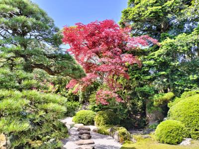 2024年GW島根・鳥取の旅②