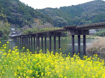 高知の旅〈２〉日曜市と桂浜、にこ淵に中津渓谷。雨でも仁淀ブルーは美しかった♪