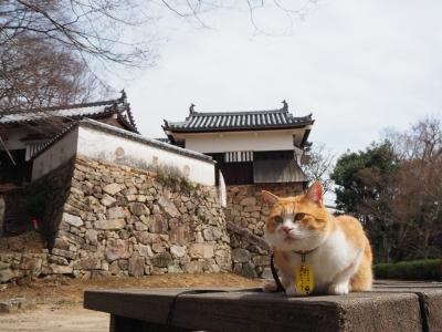 青春１８きっぷの旅 ２０２４年春 ［１］岡山のお城登城と働くねこに会いに「備中松山城」へ