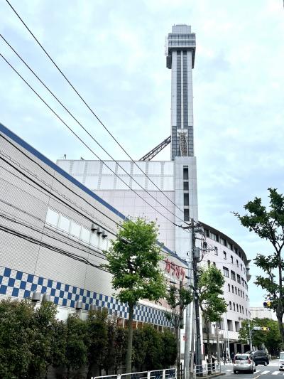 知られざる東京三大タワーの一つ、船堀タワーに昇りました