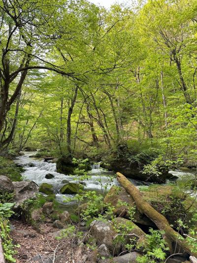 GW東北旅③　～奥入瀬から鉛温泉～
