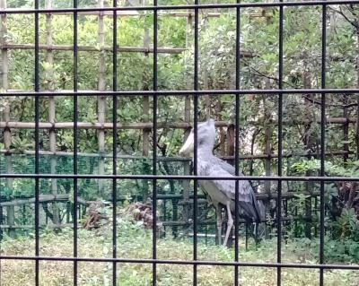 202405☆千葉市動物公園☆友人3人