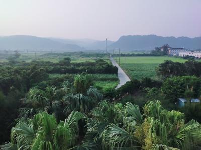 ○o。.最高に楽しかった♪バスで行くやんばる沖縄ひとり旅vol.1（移動編）2024初夏.。o○