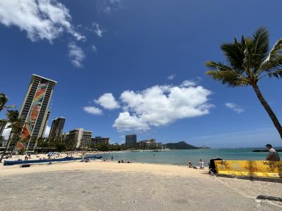 三世代で行くハワイ旅行♪ラグーンタワーのペントハウスに泊まったぞ<最終回>~グルメ編~