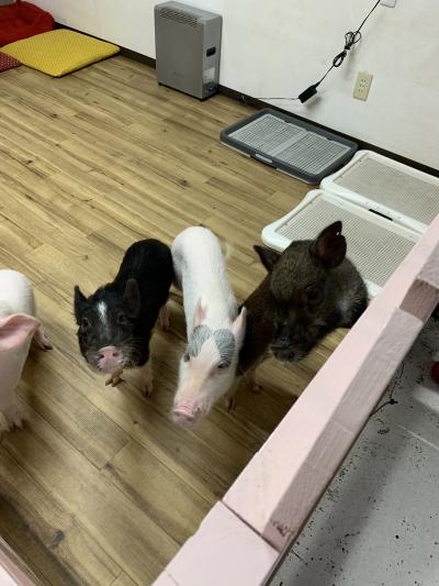 私にとっての2023年の事件。　愛知県常滑へ弾丸ツアー