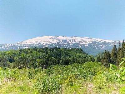 温泉と山菜に緩む  肘折温泉と山形