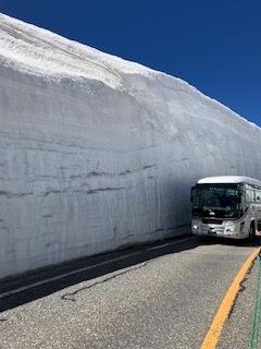 今年のアルペンルート