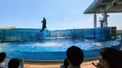 2024年5月上旬、新江ノ島水族館を観光