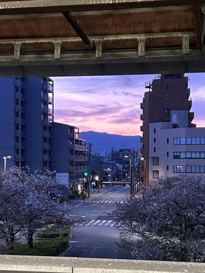 神戸・京都・奈良３日で８万５千歩【ダイジェスト⑱】奈良へ向かう朝、"京都二条駅で目にした東山の朝焼け" は盛らずにこの美しさだった！