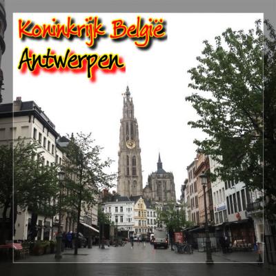 オランダ・ベルギー花物語【02】〈ベルギー・アントワープ編〉2024年 5月