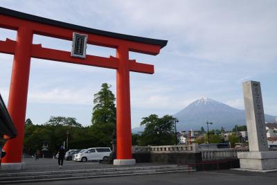 とれたて!漁港メシin静岡