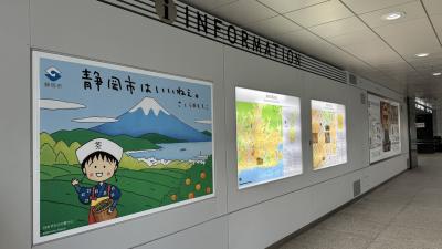 【静岡】県外に住む友人＆知人が喜びそうな静岡土産を探してみた