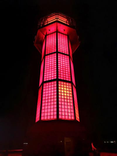 骨付鳥を求めて夜の高松をレンタサイクルで☆四国お遍路ドライブ第2弾2023年秋⑭-5