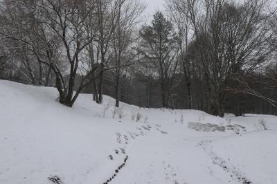 冬の軽井沢バカンス♪　Vol.120 ☆ザ・ひらまつ・軽井沢御代田：美しい森　雪見散歩♪