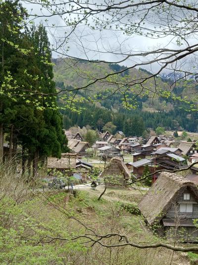 北陸バスツアー１泊２日（２）白川郷～飛騨高山