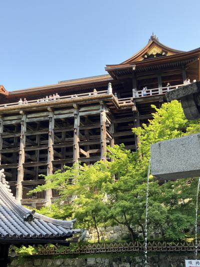2024.5.17 金 清水寺 東福寺