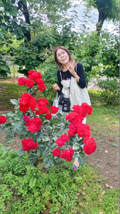 王子製紙　バラ園