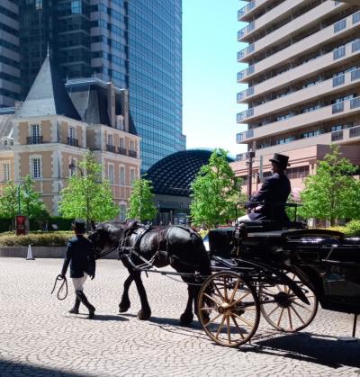 ぺりちゃん『ウェスティン ホテル』に泊まりに行く