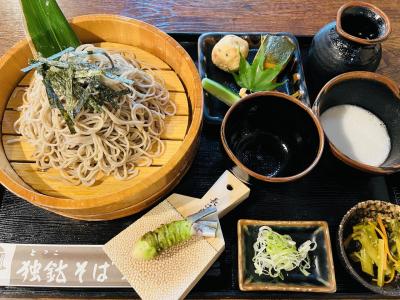 温泉三昧と神社巡り♪伊豆修善寺 ～ ちょこっと修善寺温泉観光 ＆ 途中下車で来宮神社