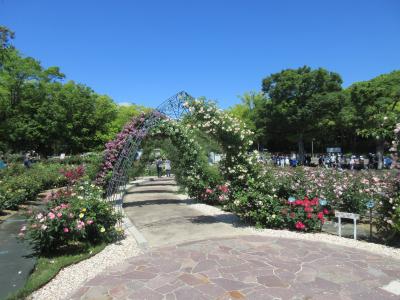 万博記念公園の「平和のバラ園」