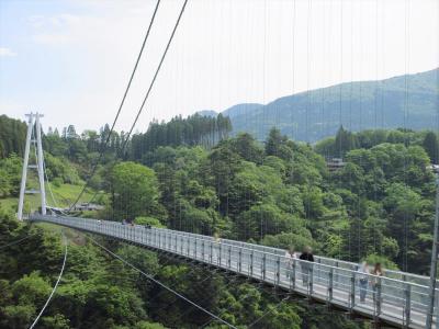 2024 春のお墓参り（二日目）　～九重”夢”大吊り橋から北里柴三郎記念館へ～