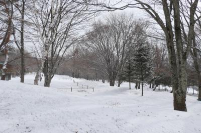 冬の軽井沢バカンス♪　Vol.128 ☆ザ・ひらまつ・軽井沢御代田：美しい森　雪見散歩♪