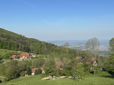 黒い森ブラントマットのアパートと美味しいワインとビール。