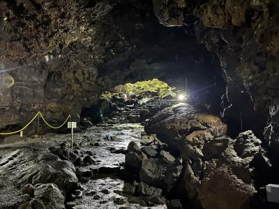 三嶋大社、沼津港にし与に立ち寄り、御殿場時之栖に宿泊して富士山を愛でるサ活旅