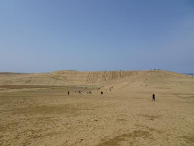 初めての島根＆鳥取旅行！２０２４＜３＞鳥取砂丘へ、そして海鮮丼を食べる！＆天然温泉 境港 夕凪の湯 御宿 野乃へ！編