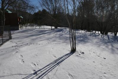 冬の軽井沢バカンス♪　Vol.151 ☆ザ・ひらまつ・軽井沢御代田：ドッグヴィラ　雪のドッグラン♪