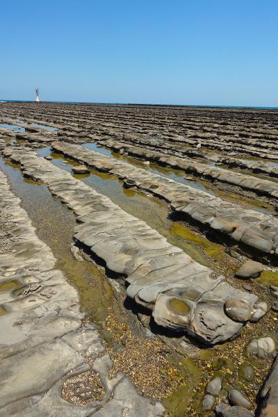 【２泊３日　春の宮崎　ひとり旅】マンゴ～シ&#12316;ズン到来！の宮崎＆飫肥城＆青島の旅の巻　３日目