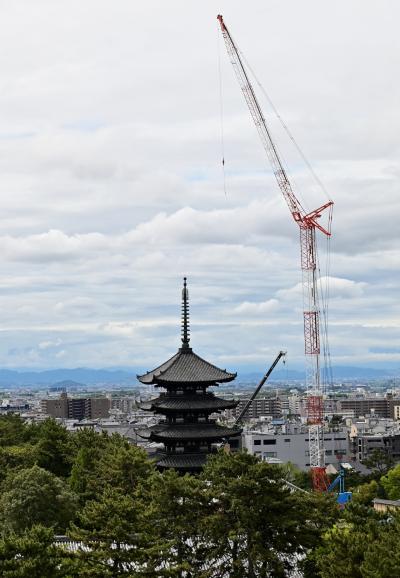 今だけしか見られない！　興福寺五重塔とクレーン～奈良時代と現代の共演